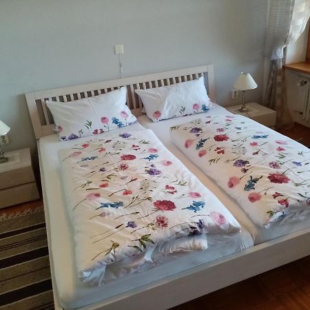 Schneiderhof Apartment Steinbach  ภายนอก รูปภาพ